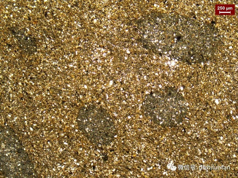 Benekli Arduvazını Anlamak